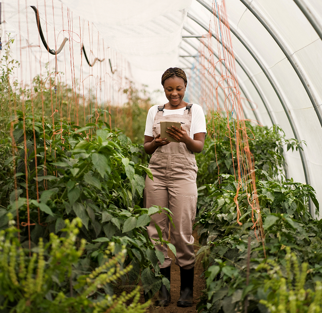 A woman farmer in a greenhouse reviewing notes among lush crops
